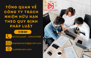 Tổng quan về công ty trách nhiệm hữu hạn theo quy định pháp luật