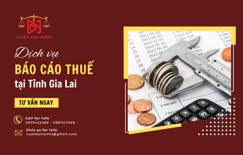 Dịch vụ báo cáo thuế tại Tỉnh Gia Lai