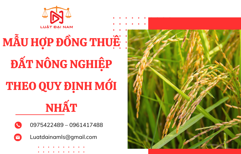 Mẫu hợp đồng thuê đất nông nghiệp theo quy định mới nhất