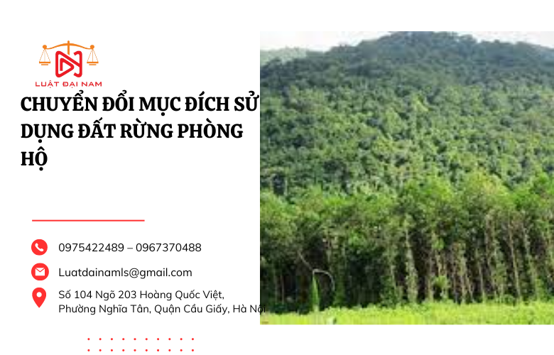 Chuyển đổi mục đích sử dụng đất rừng phòng hộ