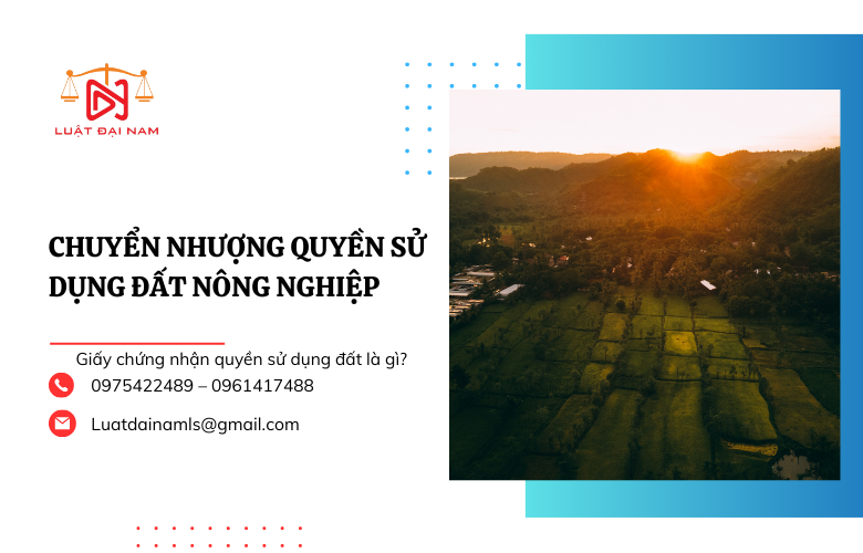 Chuyển nhượng quyền sử dụng đất nông nghiệp