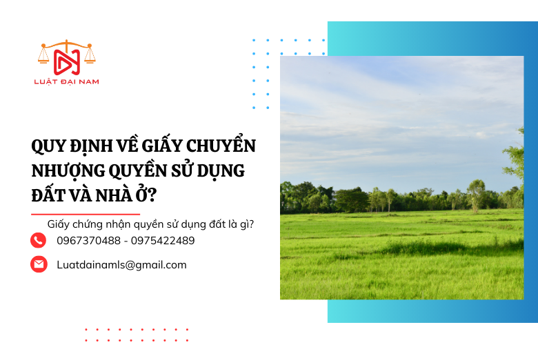 Quy định về giấy chuyển nhượng quyền sử dụng đất và nhà ở? 