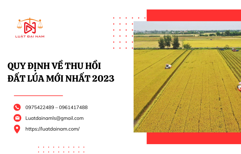 Quy định về thu hồi đất lúa mới nhất 2023