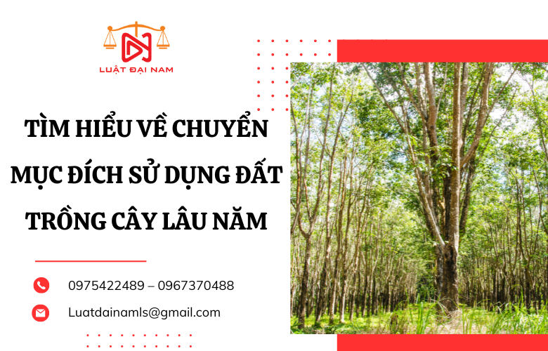 Tìm hiểu về chuyển mục đích sử dụng đất trồng cây lâu năm