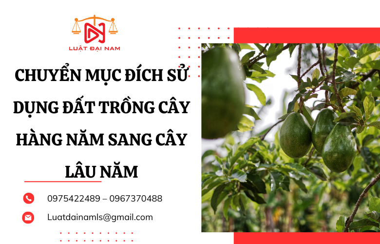 Thủ tục chuyển mục đích sử dụng đất trồng cây hàng năm sang cây lâu năm