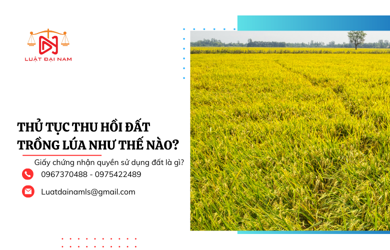 Thủ tục thu hồi đất trồng lúa như thế nào?