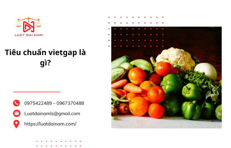 Tiêu chuẩn vietgap là gì?