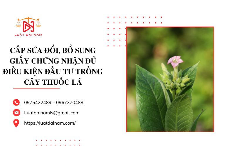 Cấp sửa đổi, bổ sung Giấy chứng nhận đủ điều kiện đầu tư trồng cây thuốc lá