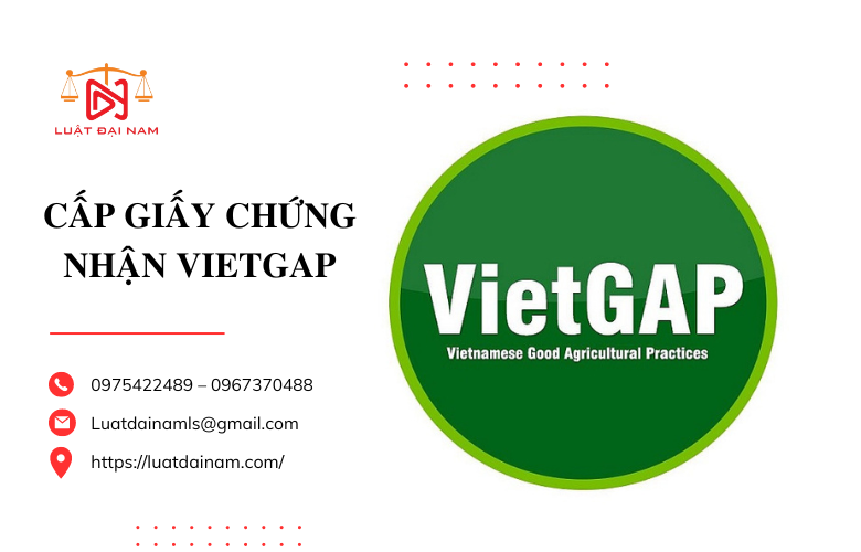 Cấp giấy chứng nhận vietgap