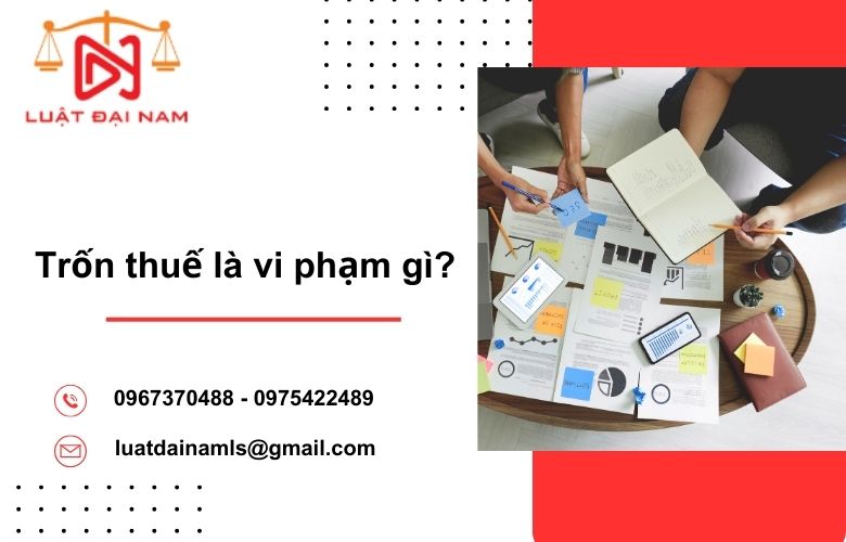 Trốn thuế là vi phạm gì?