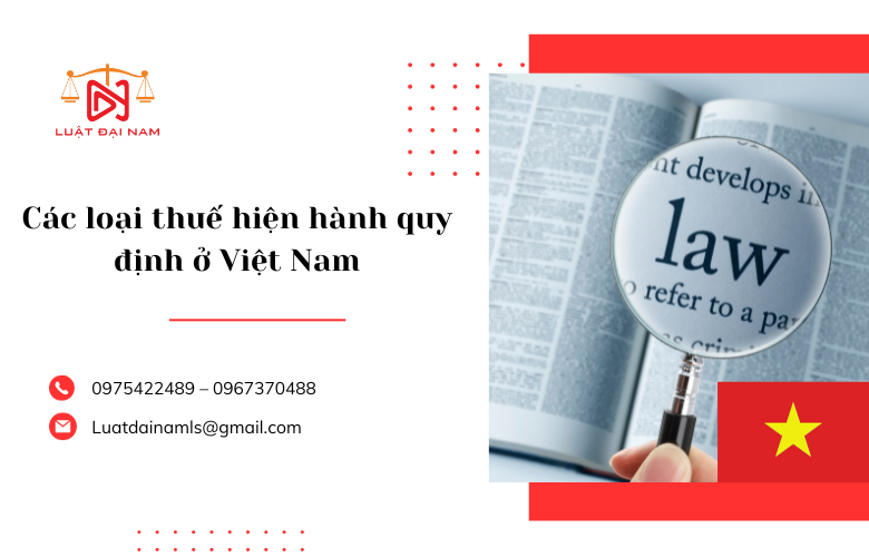 Các loại thuế hiện hành quy định ở Việt Nam