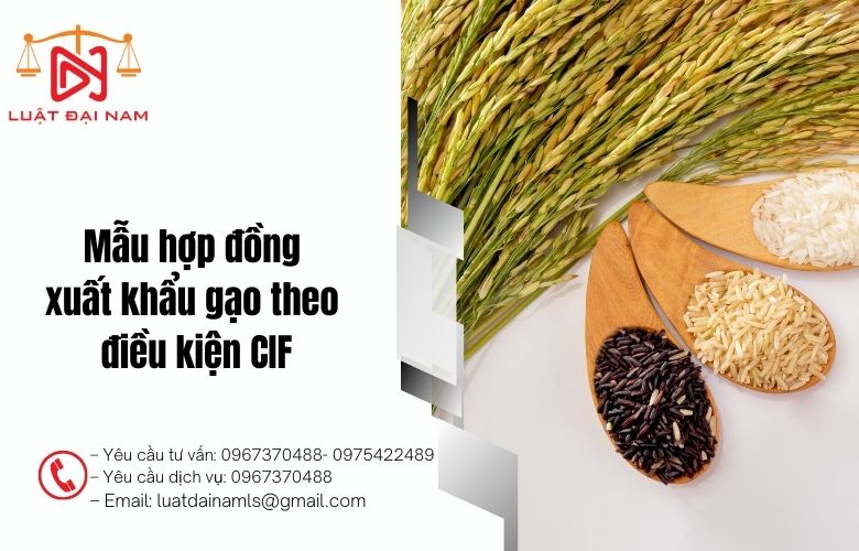 Mẫu hợp đồng xuất khẩu gạo theo điều kiện CIF