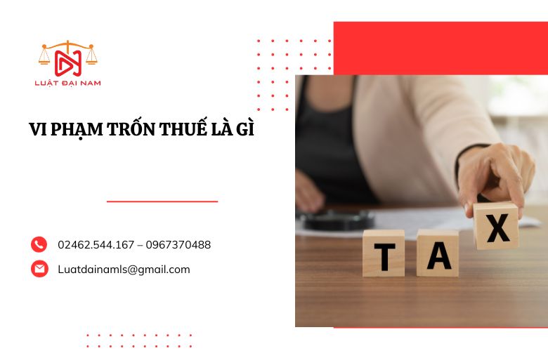 Vi phạm trốn thuế là gì