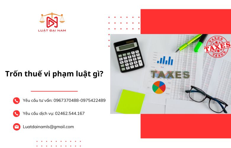 Trốn thuế vi phạm luật gì?