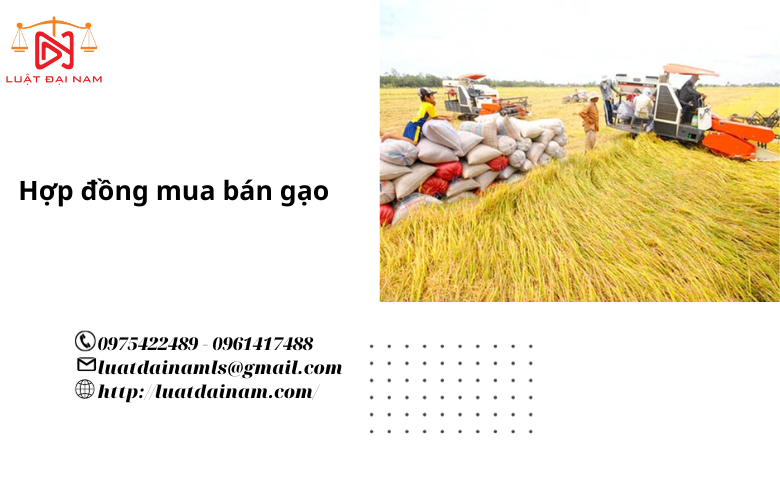 Hợp đồng mua bán gạo