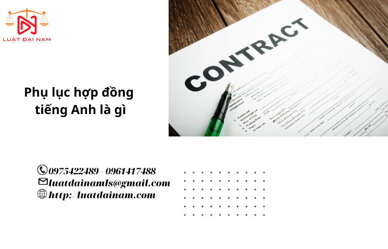 Phụ lục hợp đồng tiếng anh là gì