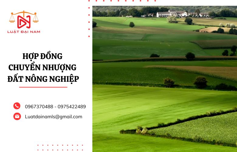 Hợp đồng chuyển nhượng đất nông nghiệp