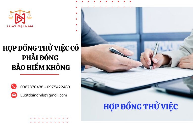 Hợp đồng thử việc có phải đóng bảo hiểm không