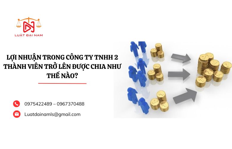 Lợi nhuận trong công ty TNHH 2 thành viên trở lên được chia như thế nào?