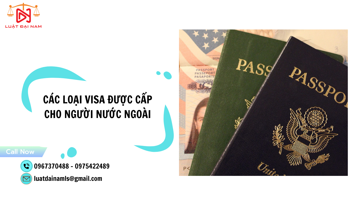 Các loại visa được cấp cho người nước ngoài